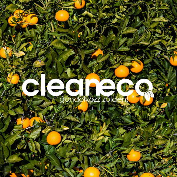 Cleaneco Organic Floor Soap, 1 L