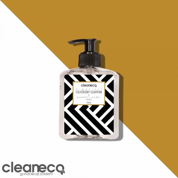 Cleaneco Liquid Soap 250 Ml