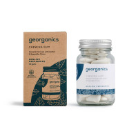 Natural Chewing Gum - English Peppermint 120 pcs