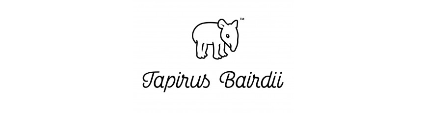 Tapirus Bairdii